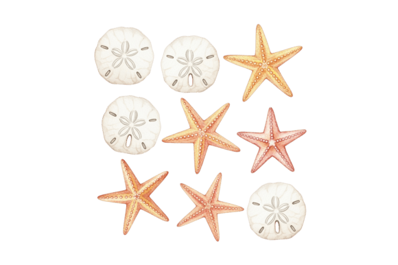 Download Sand Dollar and Starfish Ocean Artwork - Starfish Collection